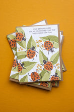 Load image into Gallery viewer, Ladybug Wishes