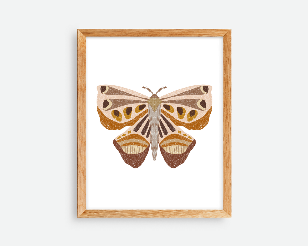 Woodland Moth Print