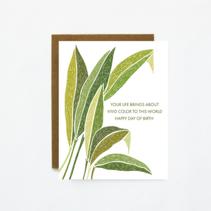Plant Card Bundle