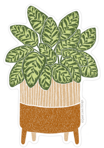 Peacock Plant Sticker