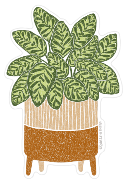 Peacock Plant Sticker