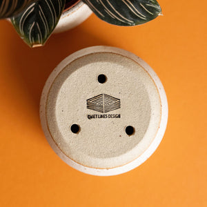 Desktop Planter