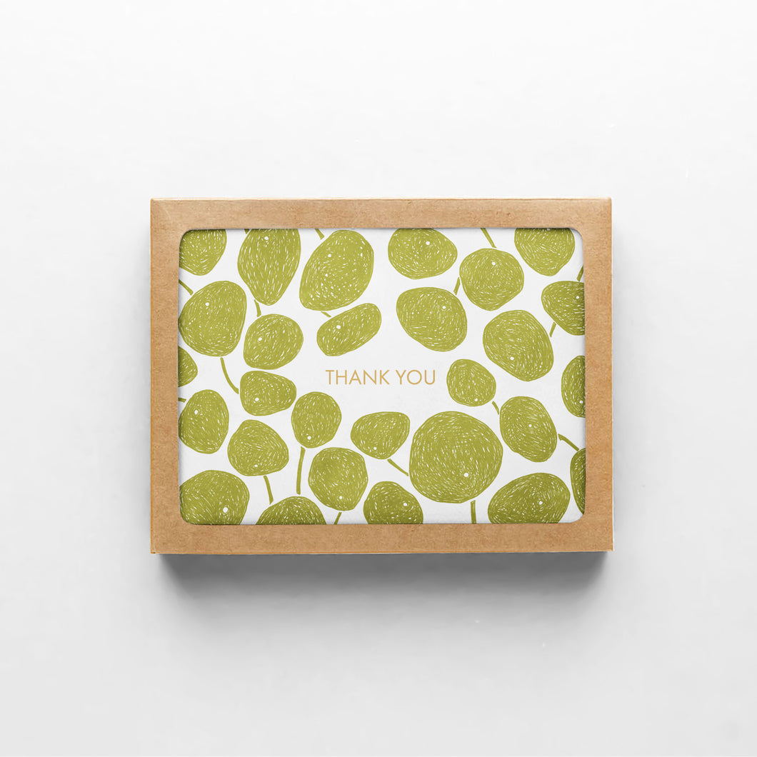 Pilea Thank You Boxed Set