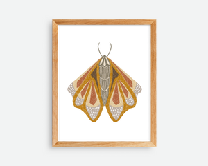 Triad Moth Print