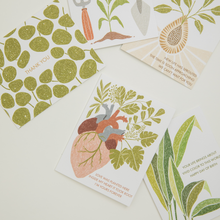 Load image into Gallery viewer, Plant Card Bundle
