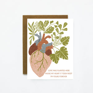 Love Took Root